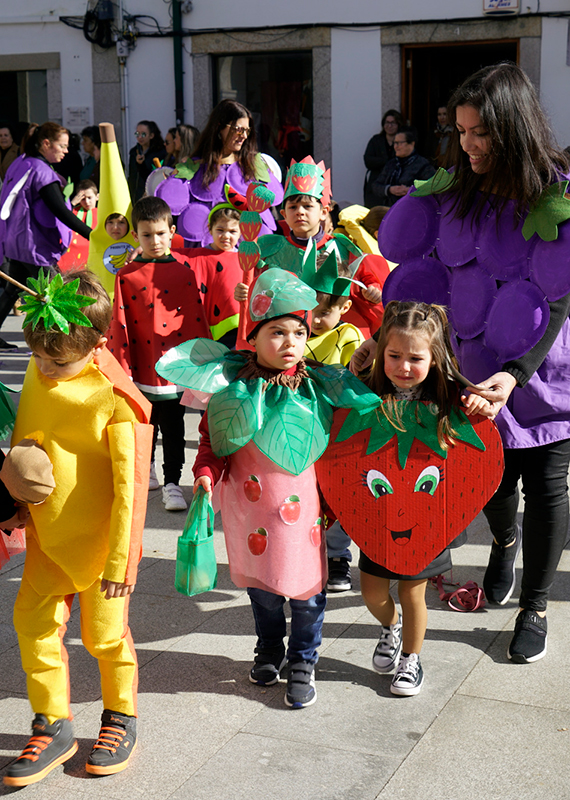 desfile-de-carnaval-fantasia-ambiente-5