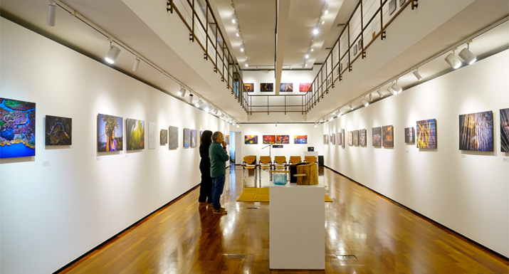 Museu Municipal de Esposende apresenta exposição fotográfica “Urdir o Junco”